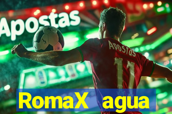 RomaX agua sanitaria fispq agua sanitaria romax